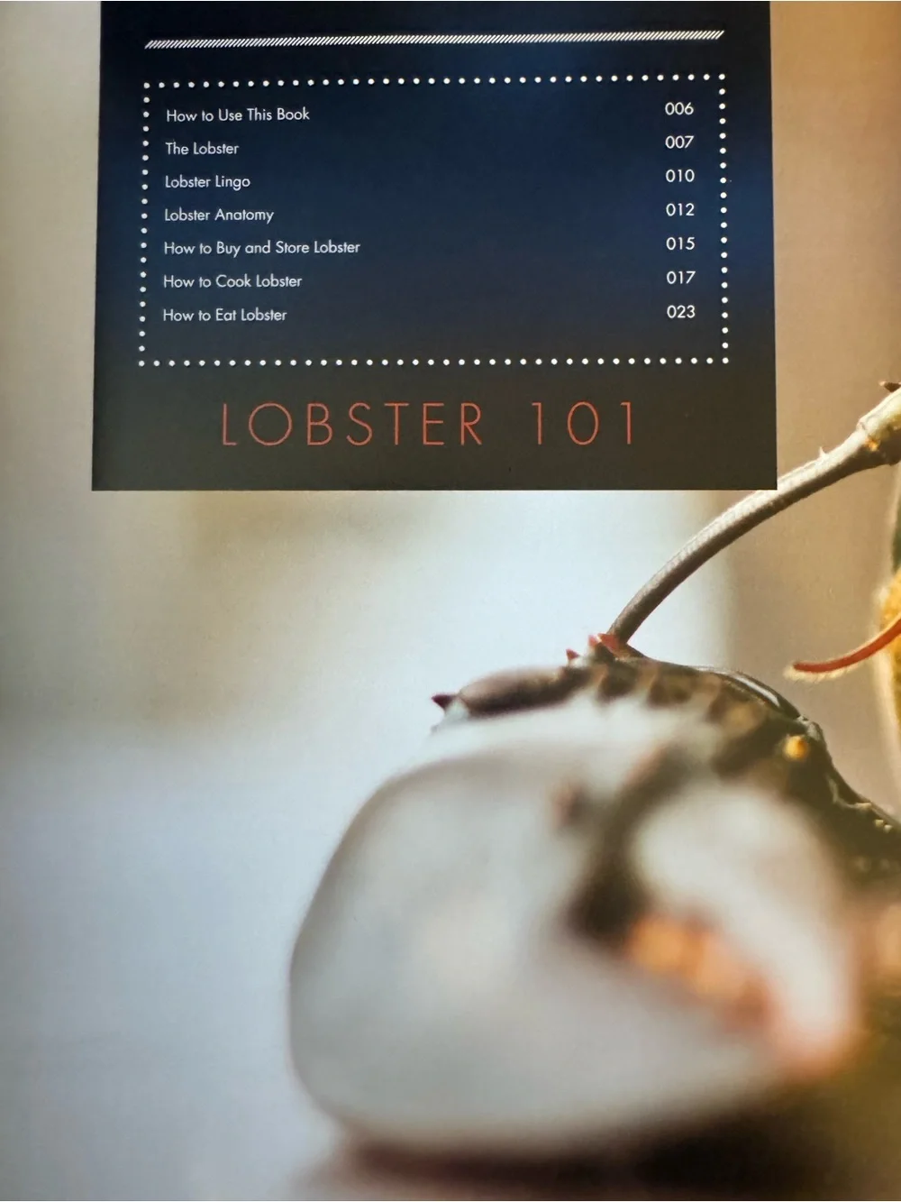 The Great Lobster Cookbook - Red Cookbook by Matt dean pettit. 🦞🦞🦞🦞🦞🦞